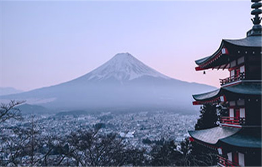 年度审计介绍