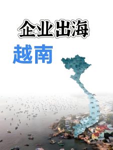 企业出海,越南